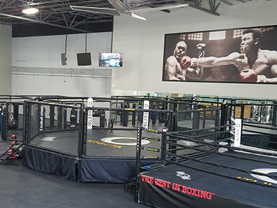 Mixed Martial Arts Cage, Boxing Ring, Punching Bags and Wrestling Mats